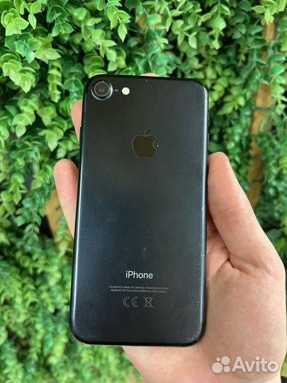 iPhone 7, 256 ГБ
