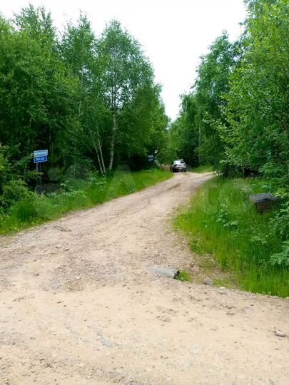 Участок 10 сот. (СНТ, ДНП)