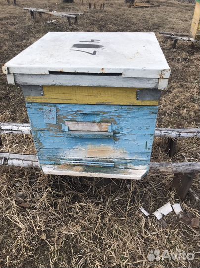 Улей для пчел