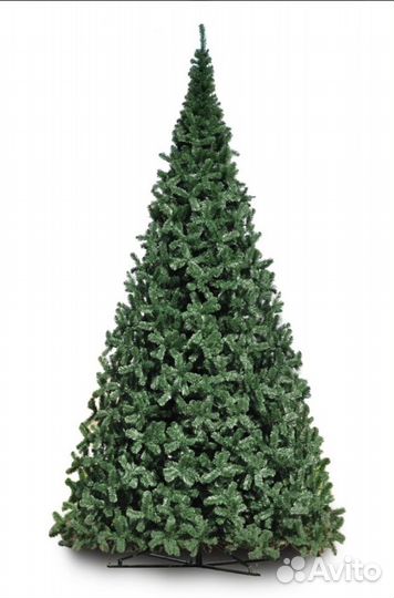 Елка Высотная