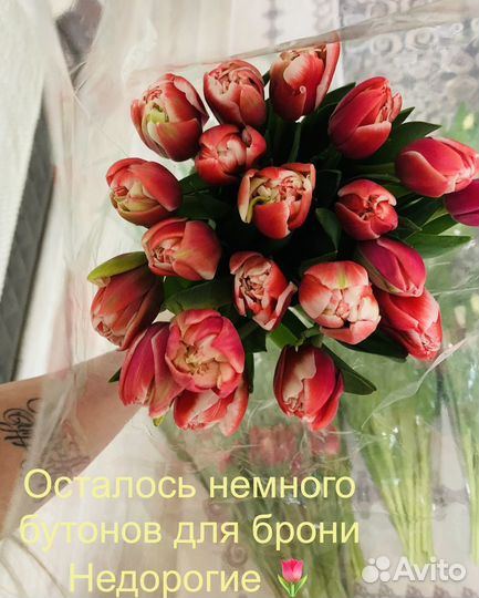 Тюльпаны Пионовидные
