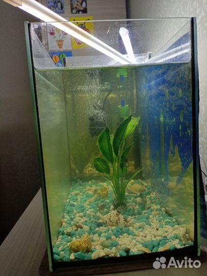 Аквариум с рыбками