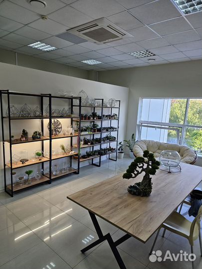 Мастер-класс по изготовлению флорариума