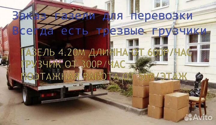 Грузоперевозки / Переезды / Грузчики