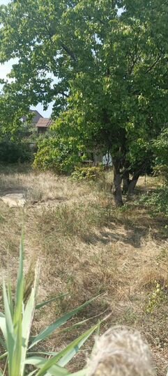 Дача 24 м² на участке 12 сот.