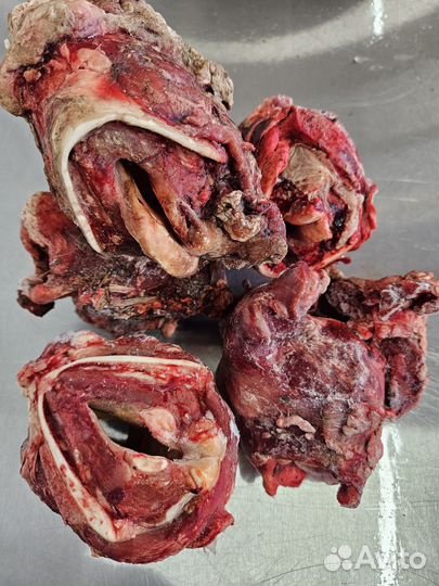 Мясо для животных