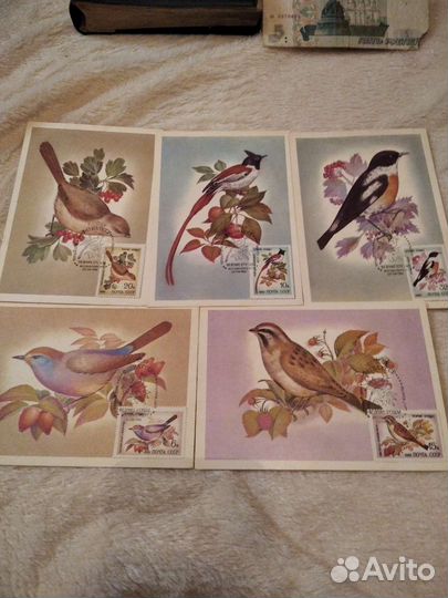 Открытки СССР