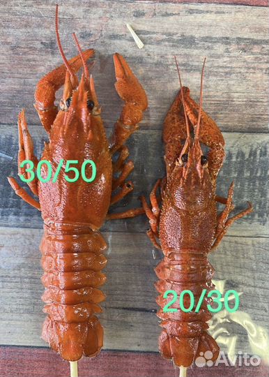 Букеты из раков