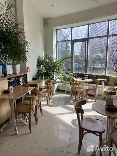 Готовый бизнес кофейня