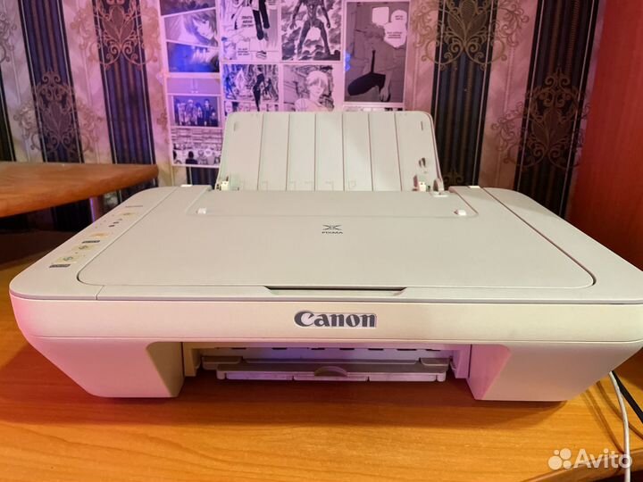 Принтер Canon mg2440