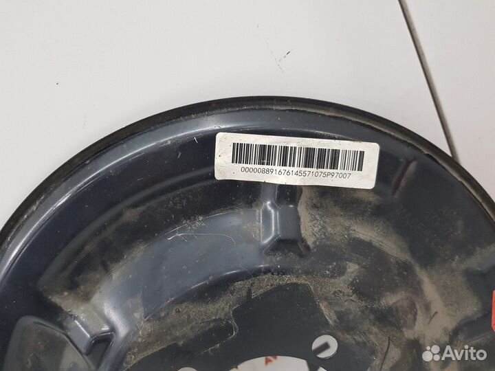 Кожух тормозного диска задний правый 2023 SS11