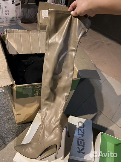 Ботфорты loriblu