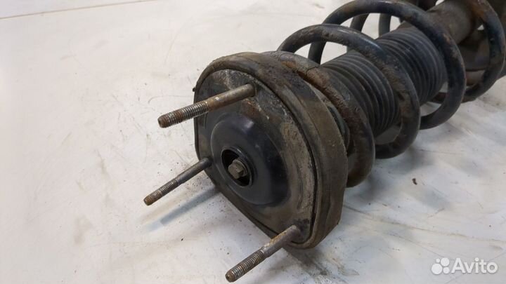 Амортизатор подвески правый задний Subaru Forester (S11)