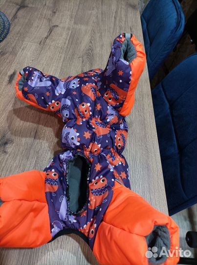 Одежда для маленьких собак