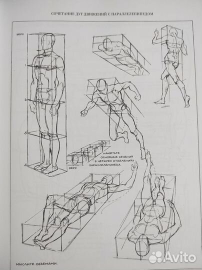 Книга Эндрю Лумиса 