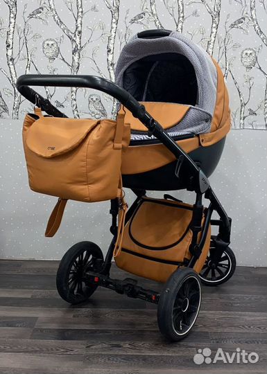 Коляска Anex sport 2 в 1