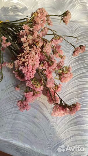 Статица сухоцвет