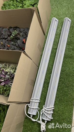 Фитосветильник