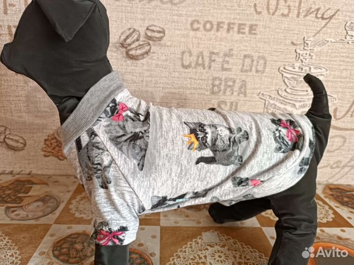 Одежда для собак