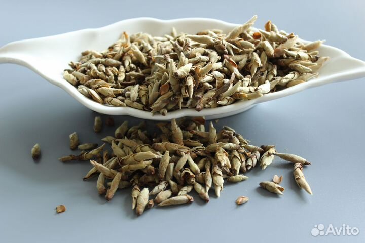 Лаошу Ябао «Почки пуэра»