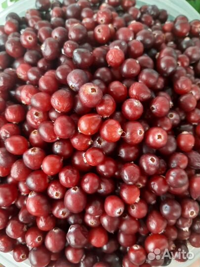 Ягоды и варенье