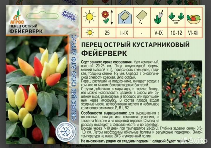 Рассада острого перца