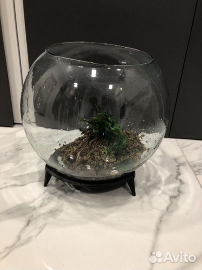 Аквариум круглый СССР