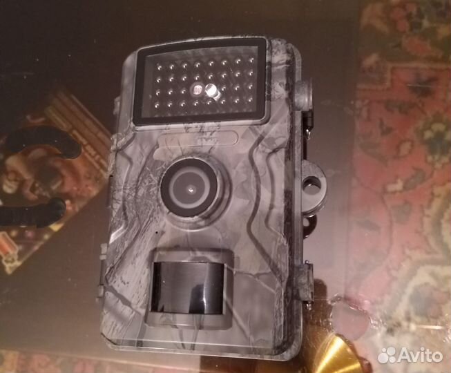 Фотоловушка