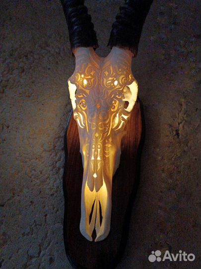 Череп резной блэсбок