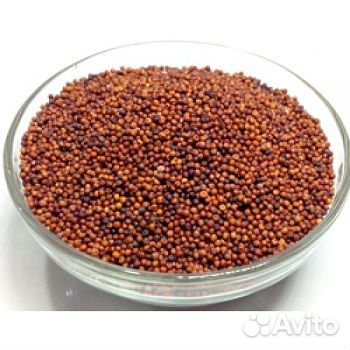 Семечка подсолнечника