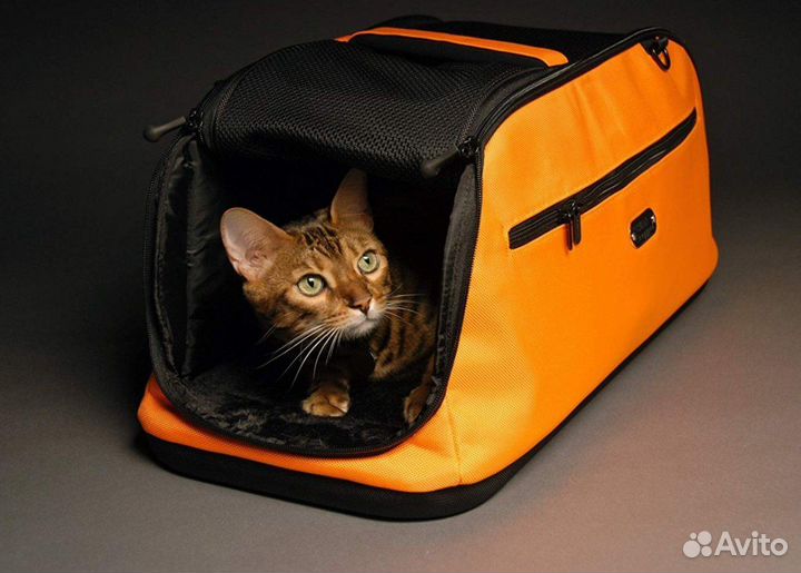 Аренда, прокат. Переноска мягкая цвет оранжевый