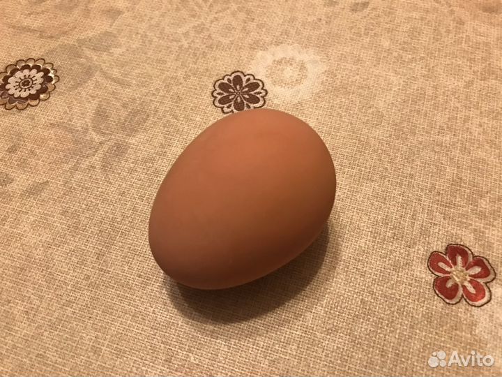 Яйцо-попрыгун