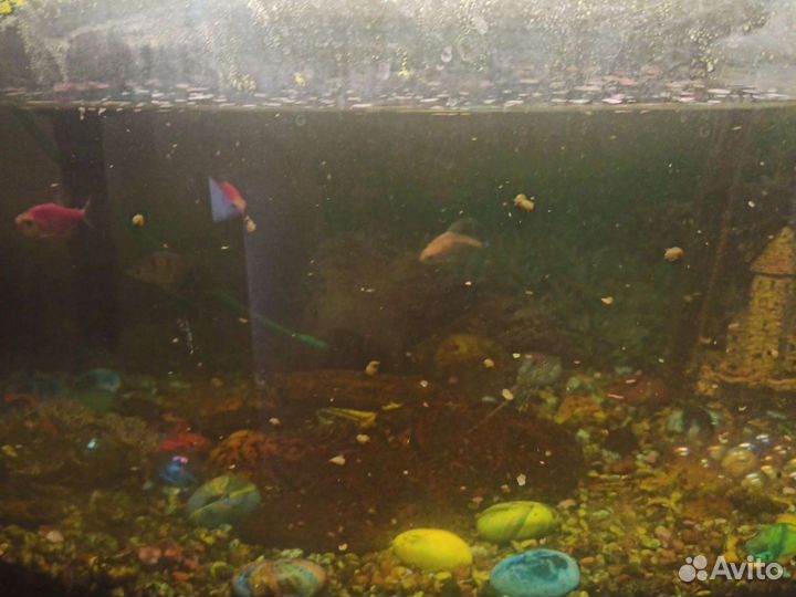 Аквариум с рыбками и тумбой