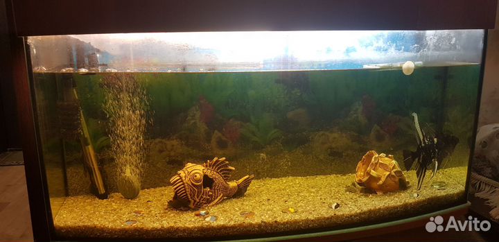 Аквариум с тумбой и фильтр tetra