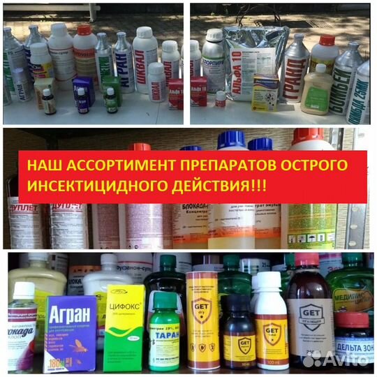 Уничтожение клопов, травля тараканов. Травить