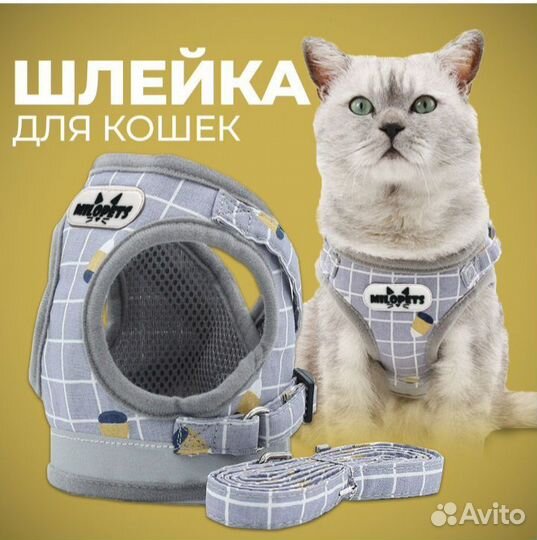 Шлейка для кошек с поводком