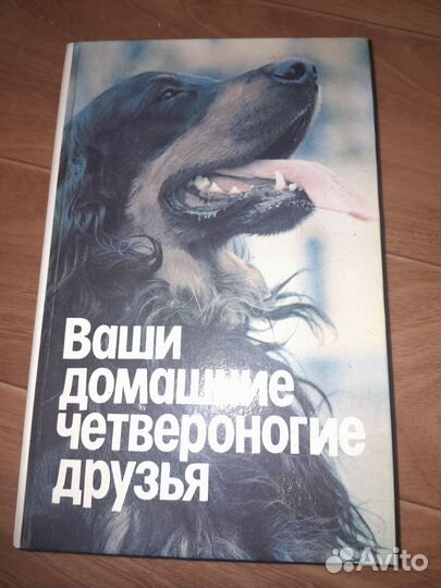 Книга Ваши четвероногие друзья