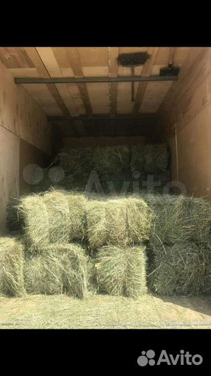Сено в тюках