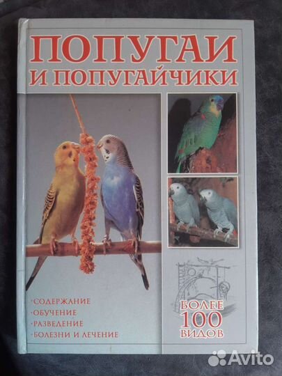 Попугаи и попугайчики