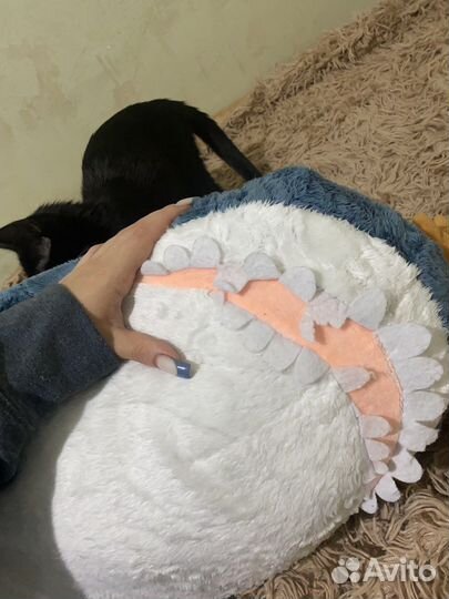 Мягкая игрушка акула 100см