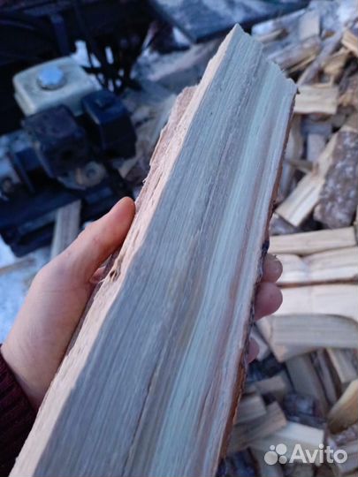 Дрова березовые