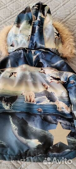 Куртка зимняя Molo 98