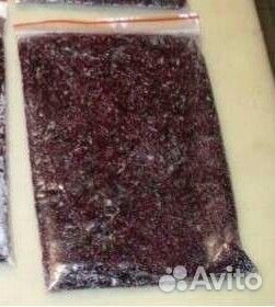 Артемия, мотыль, циклоп и др