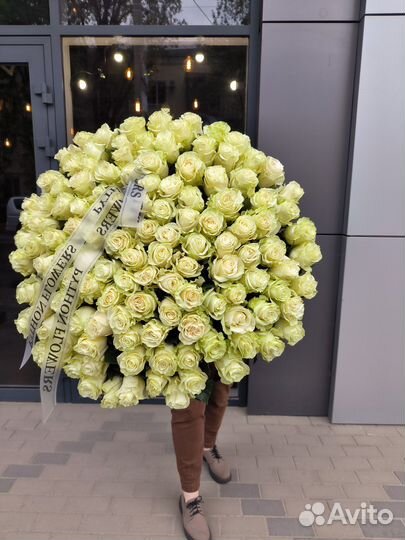 Белые большие розы