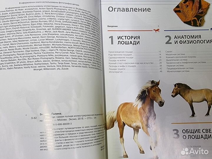 Лошади иллюстрированная энциклопедия
