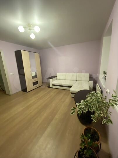1-к. квартира, 30,1 м², 1/2 эт.