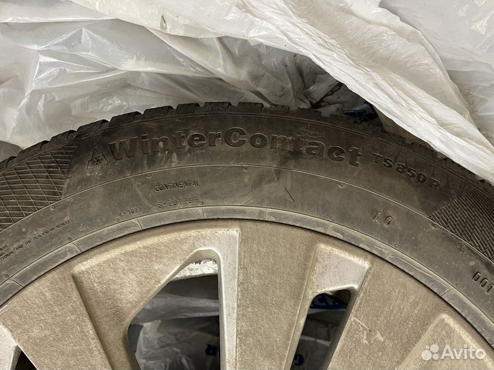 Continental WinterContact TS 850 P SUV 265/55 R19 113H