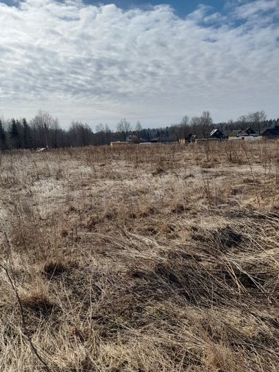 Участок 10 сот. (ИЖС)