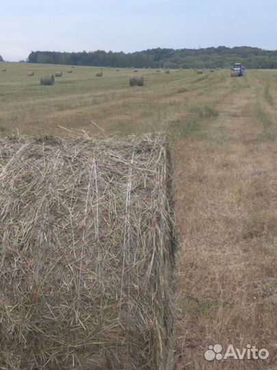 Сено, солома в рулонах