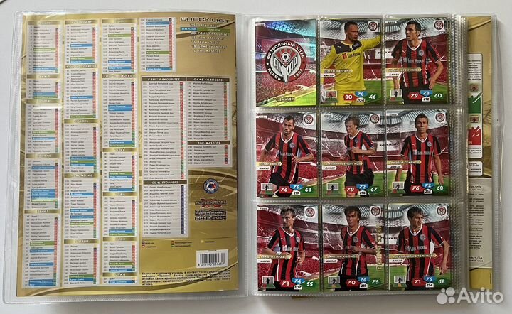 Panini рфпл 2013-2014 полная коллекция карт